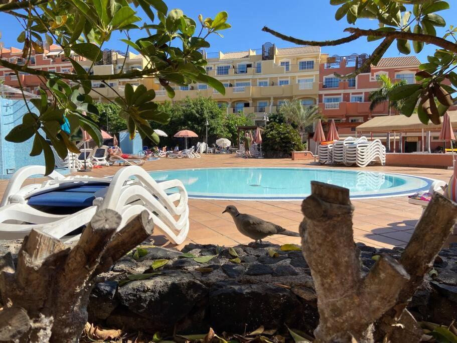 Appartamento Amazing Penthouse Los Cristianos  Esterno foto